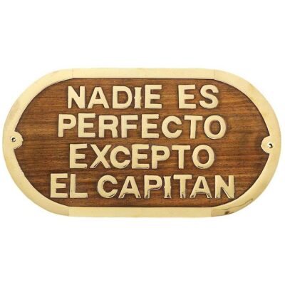 PLACA MADERA NADIE ES PERFECTO EXCEPTO